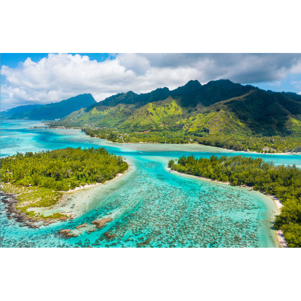 Jardin de corail entre les motu