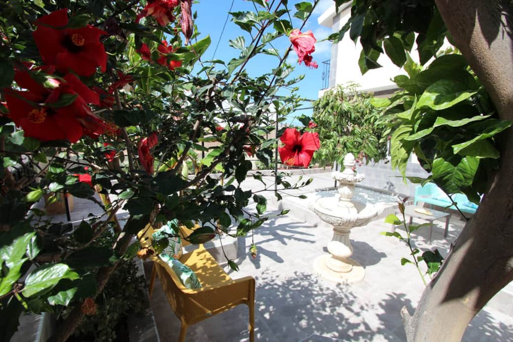 Front garden with water feature Front garden with water feature