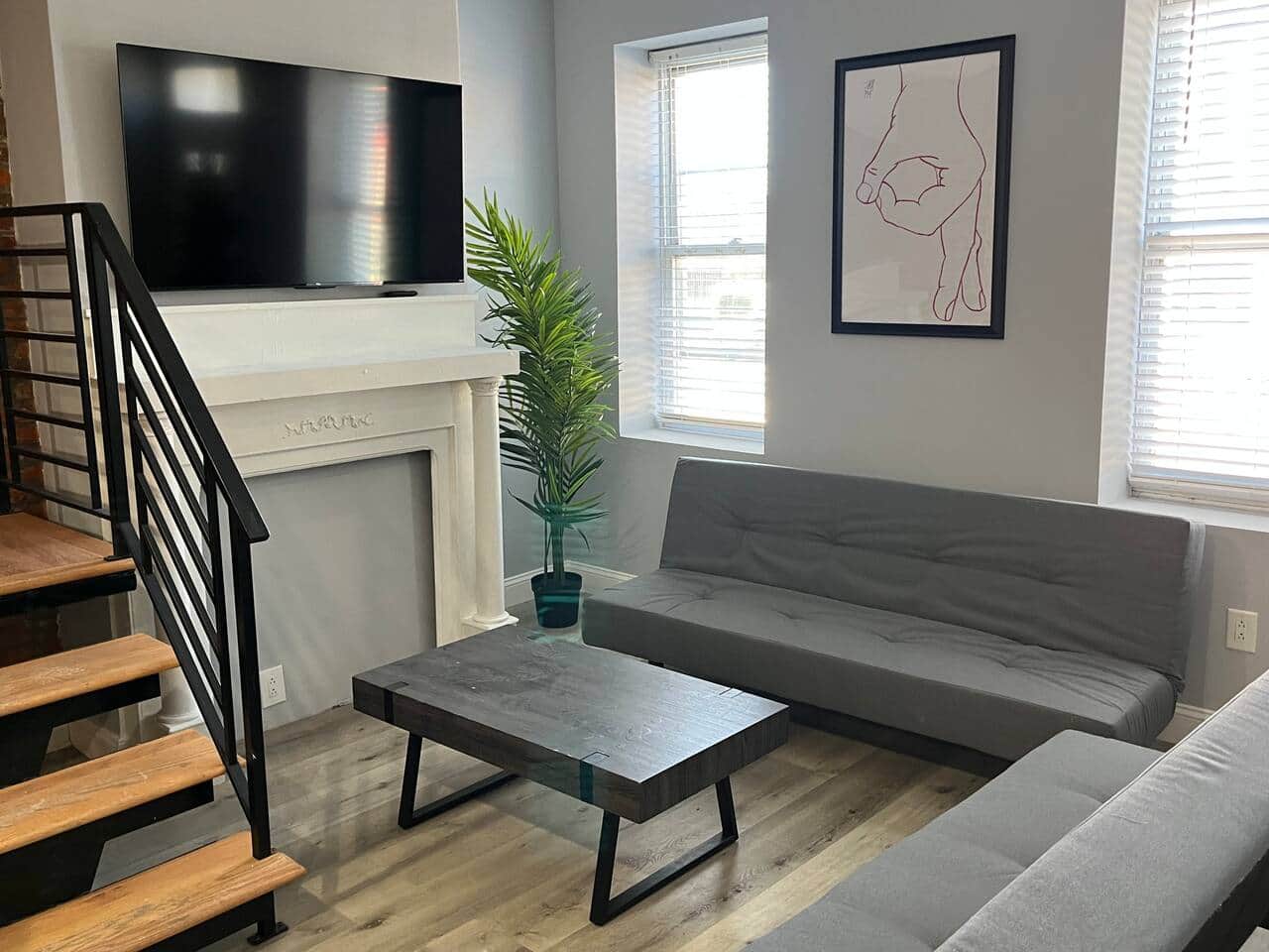 2 futon sofa bed and flat screen tv.