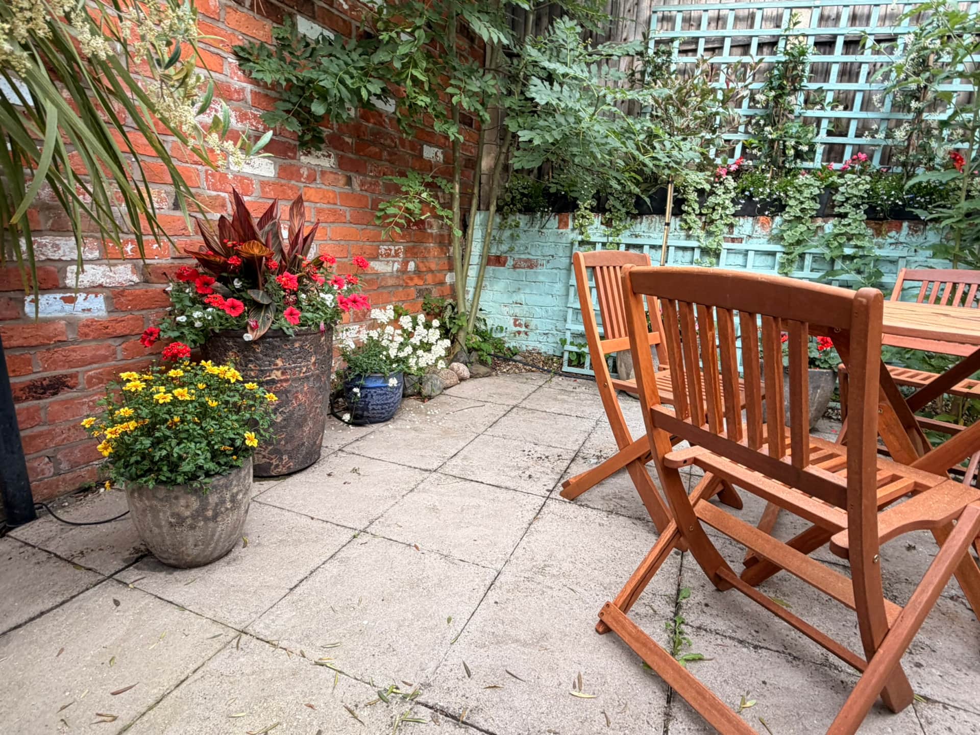 Potted flowers and planting in the courtyard garden
