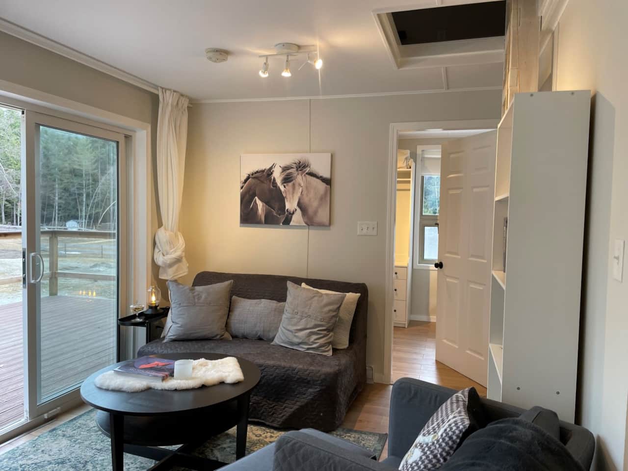 Living area with pullout bed