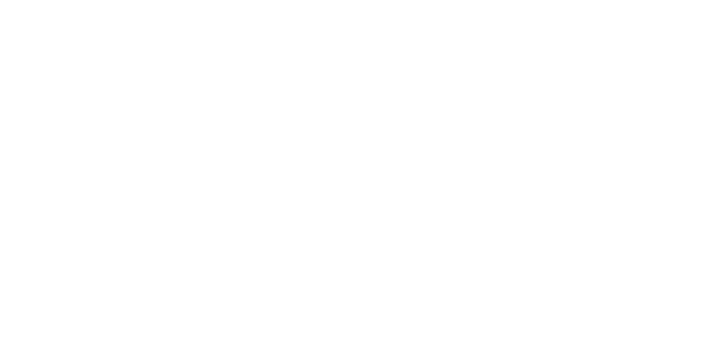 Villa Lou Pinedou