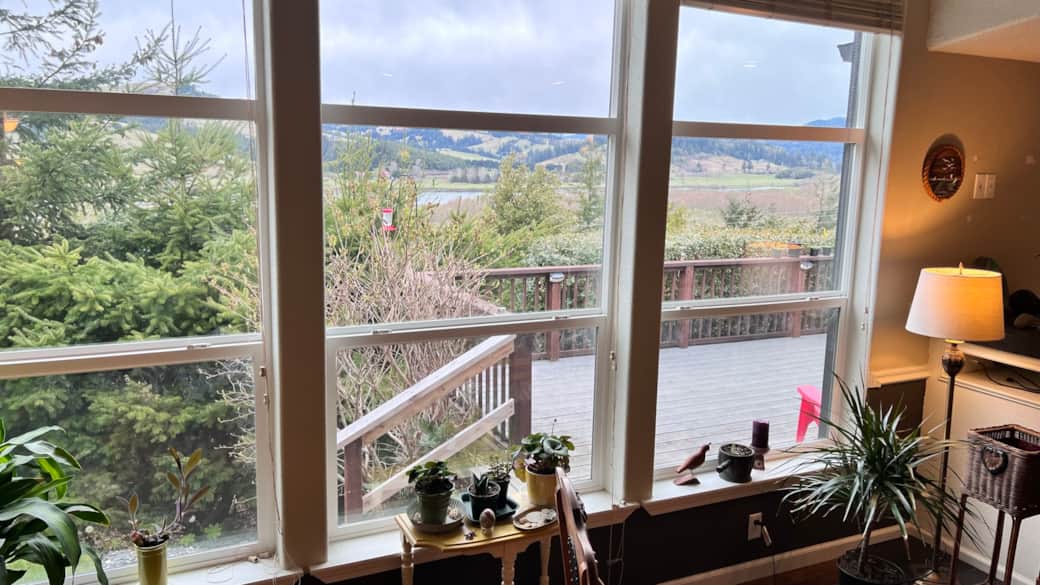 A view from the living room.