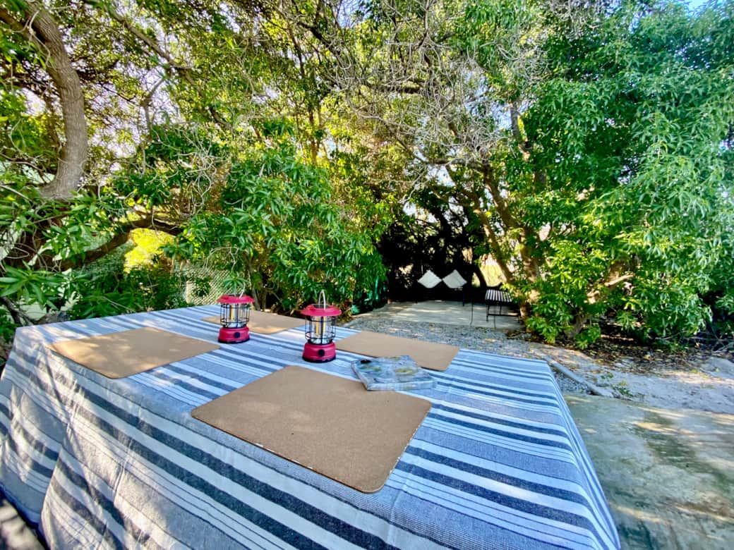 Back Yard - Braai Area