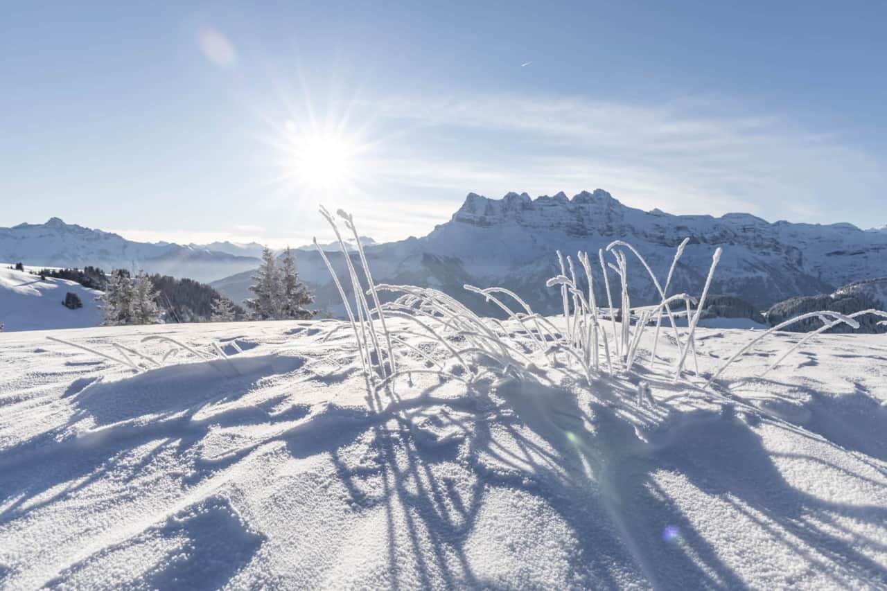 Paysages_PdS_8_©Denis Angheben - PortesDuSoleil.jpg