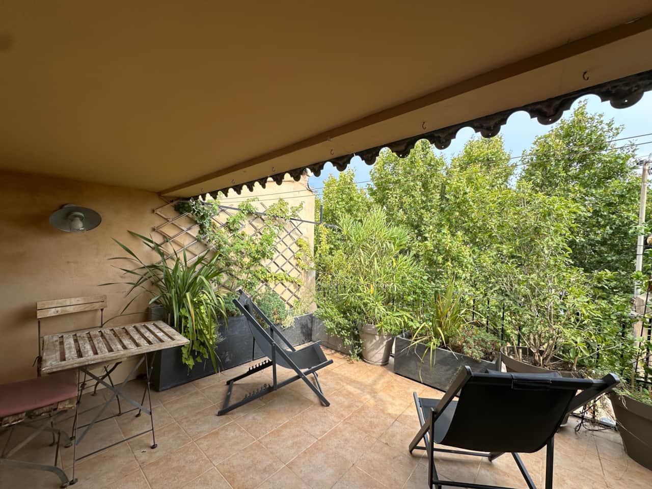 terrasse, vue, plantes, chaises longues