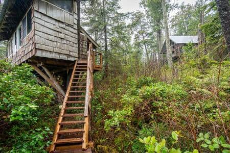 Large Treehouse w Main Cabin in Background