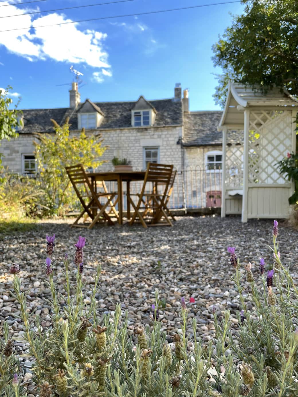 Garden area