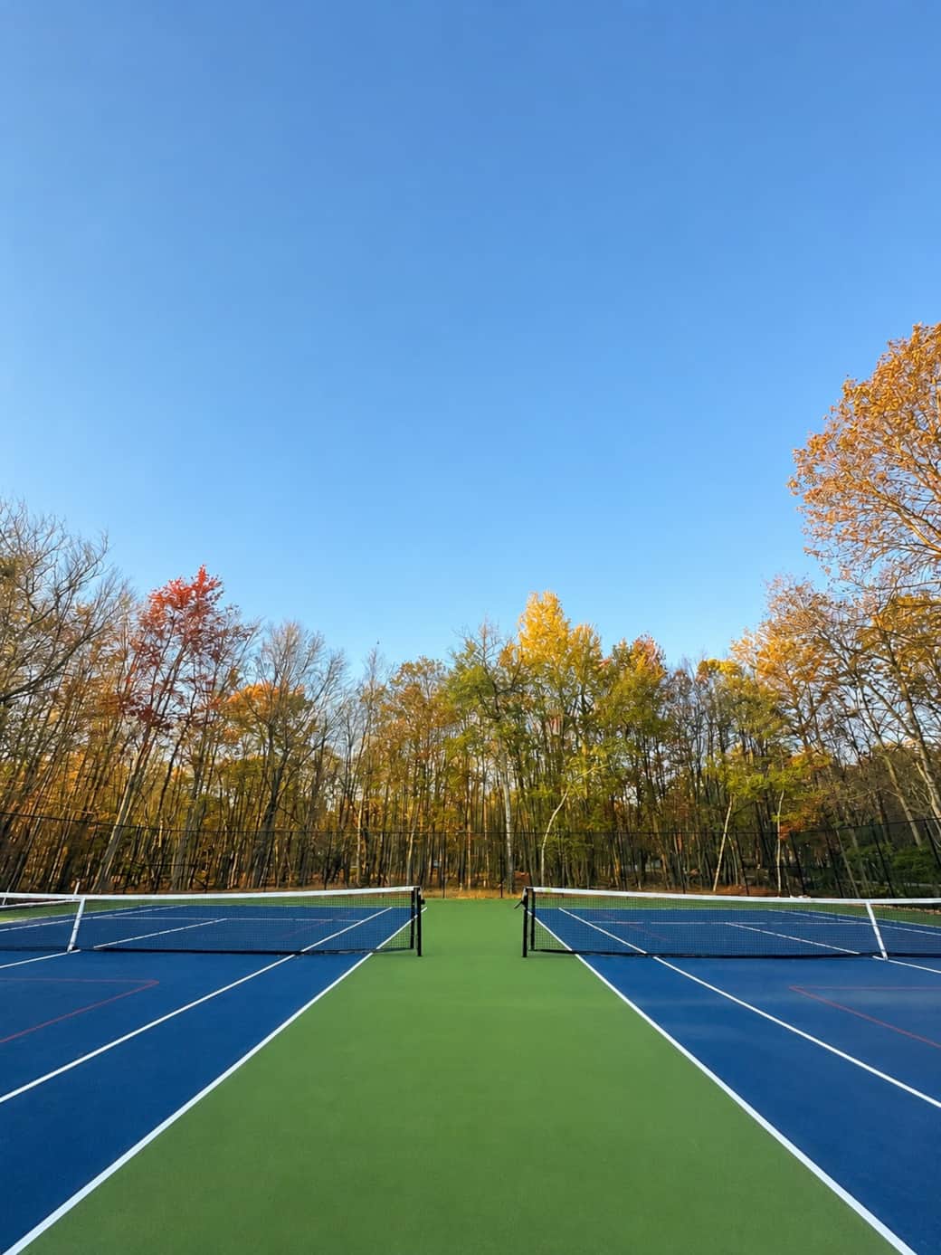 Tennis & pickleball courts in the community.