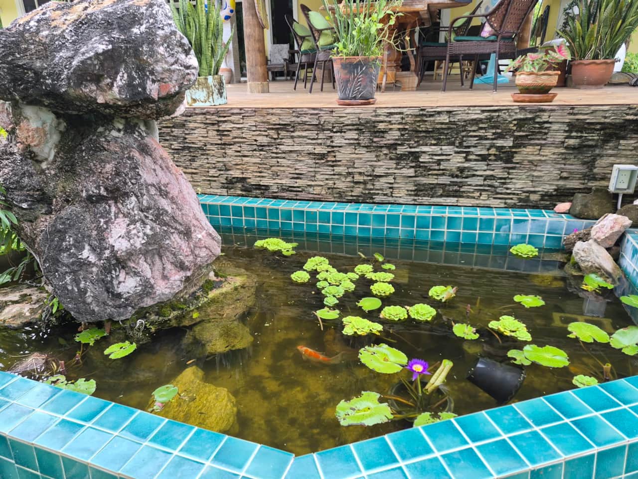 Koi fish water feature