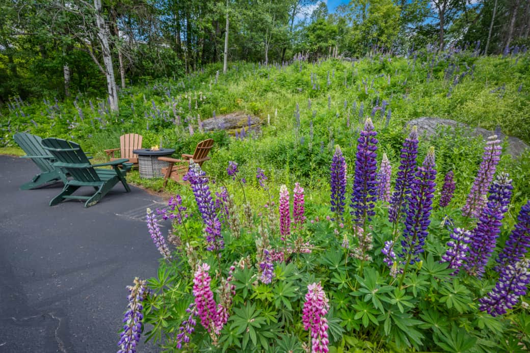 Take it all in next to the firepit.. Take it all in next to the firepit..