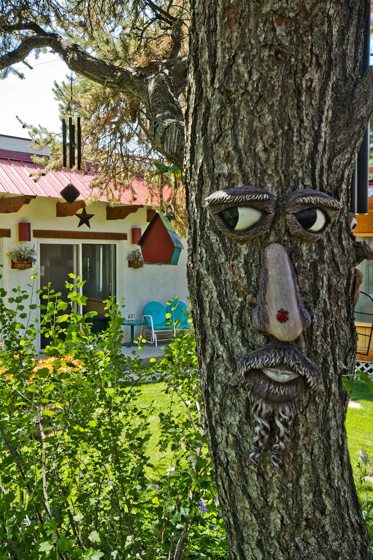 Crestone Casitas Garden Area