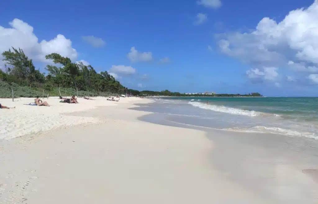 Turquoise beach near Playa del Carmen with palm trees