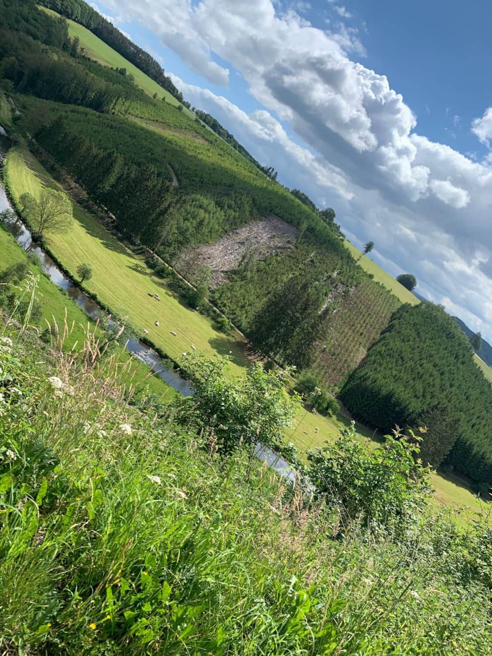 Familienfreundlicher Wanderweg in den Ardennen nahe Malmedy
