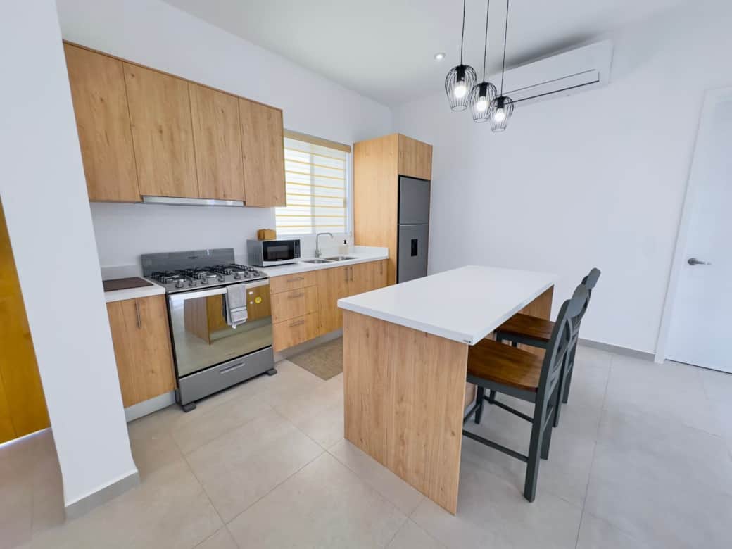 WhatsApp Image 2026-02-11 at 11.56