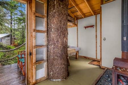 Small Treehouse w Large Treehouse in background