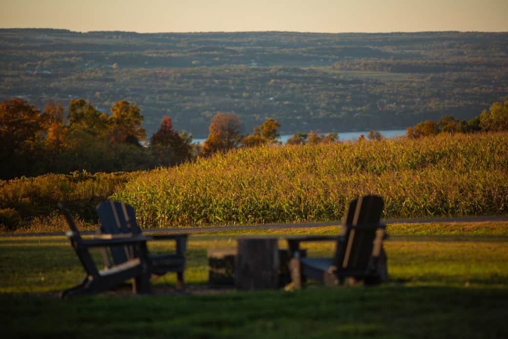 View from fire pit towards Seneca lake View from fire pit towards Seneca lake