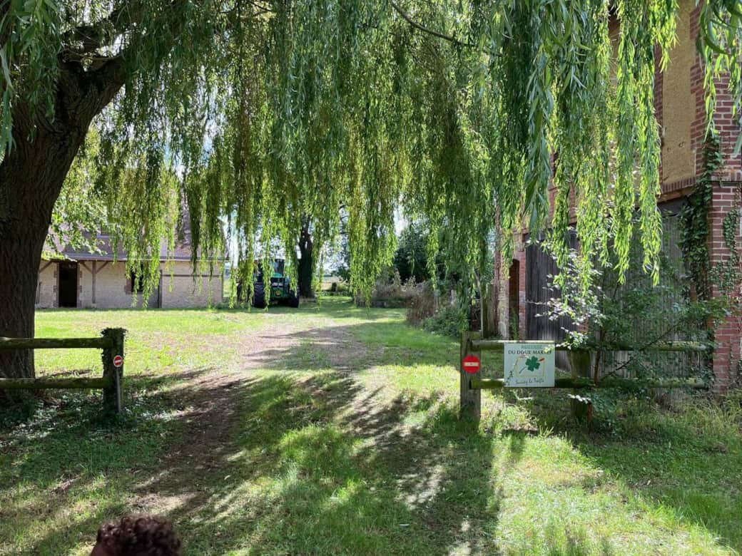 Jardin nord