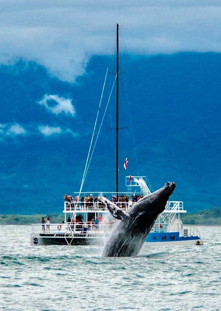 Catamaran Manuel Antonio