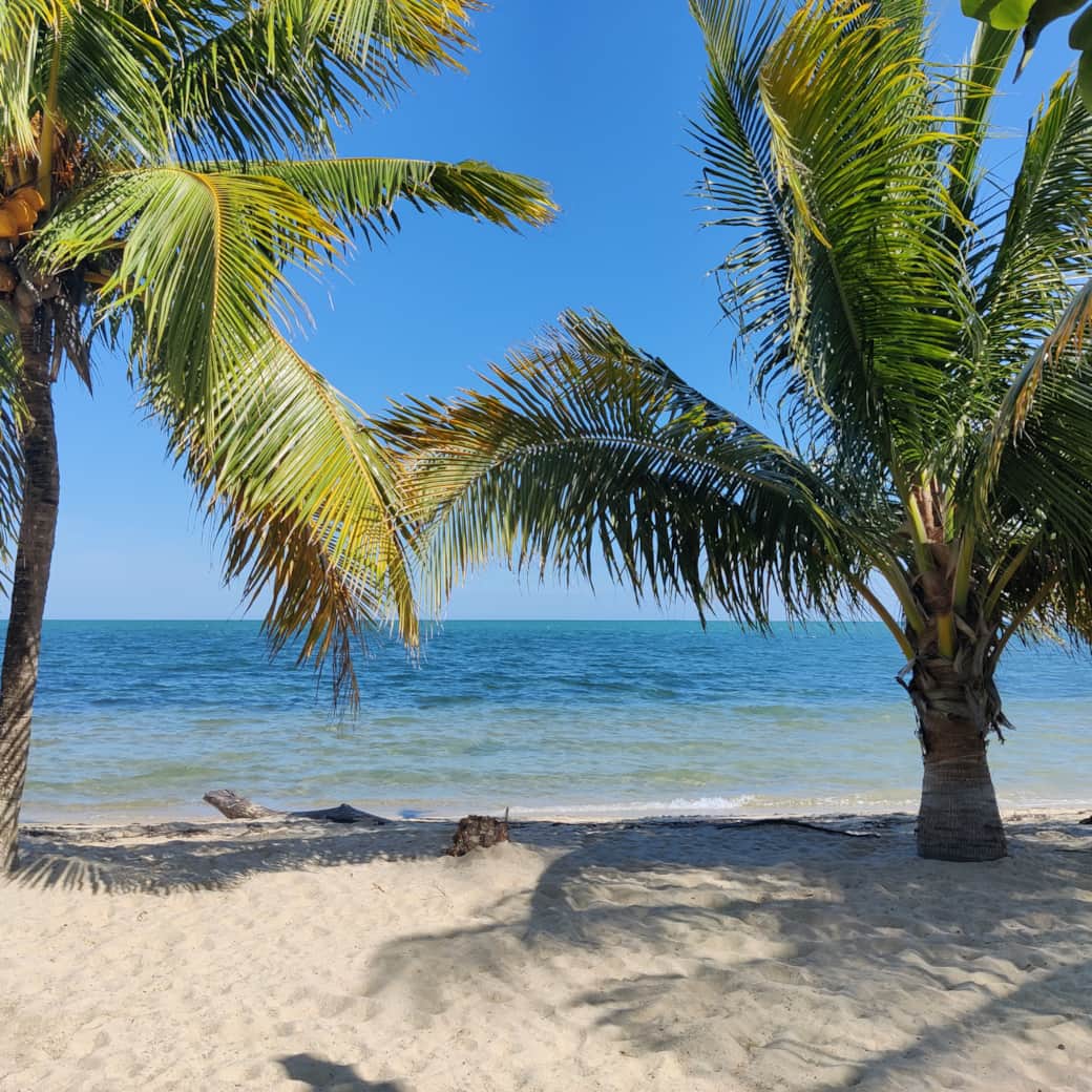 Beach Beach