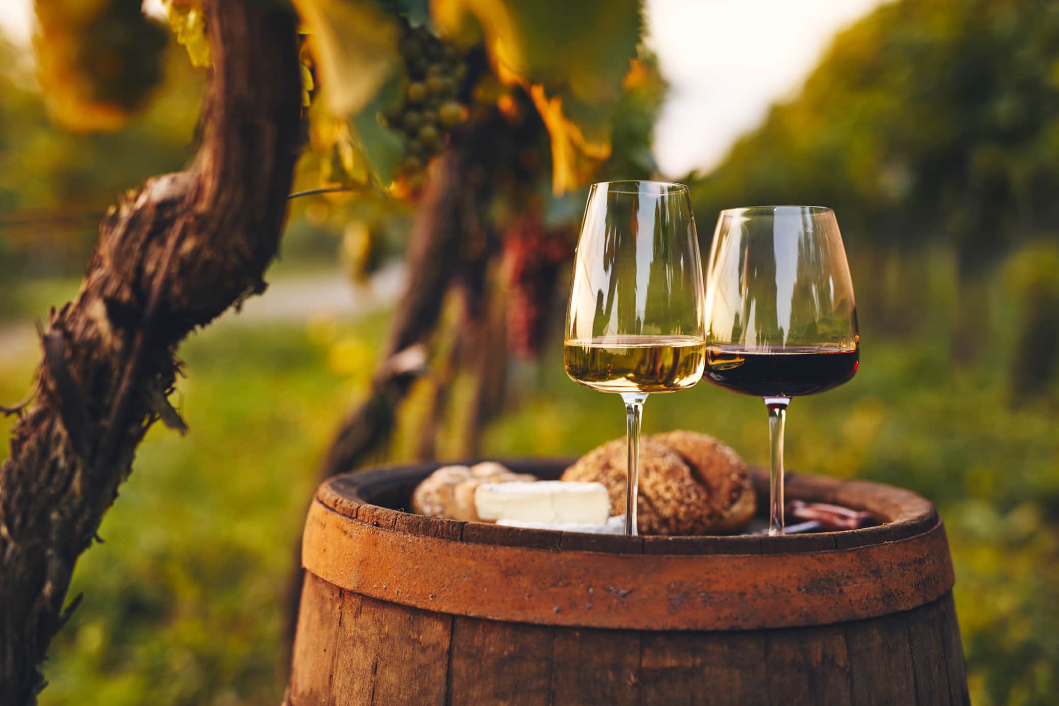 Weinanbaugebiet Rheinhessen