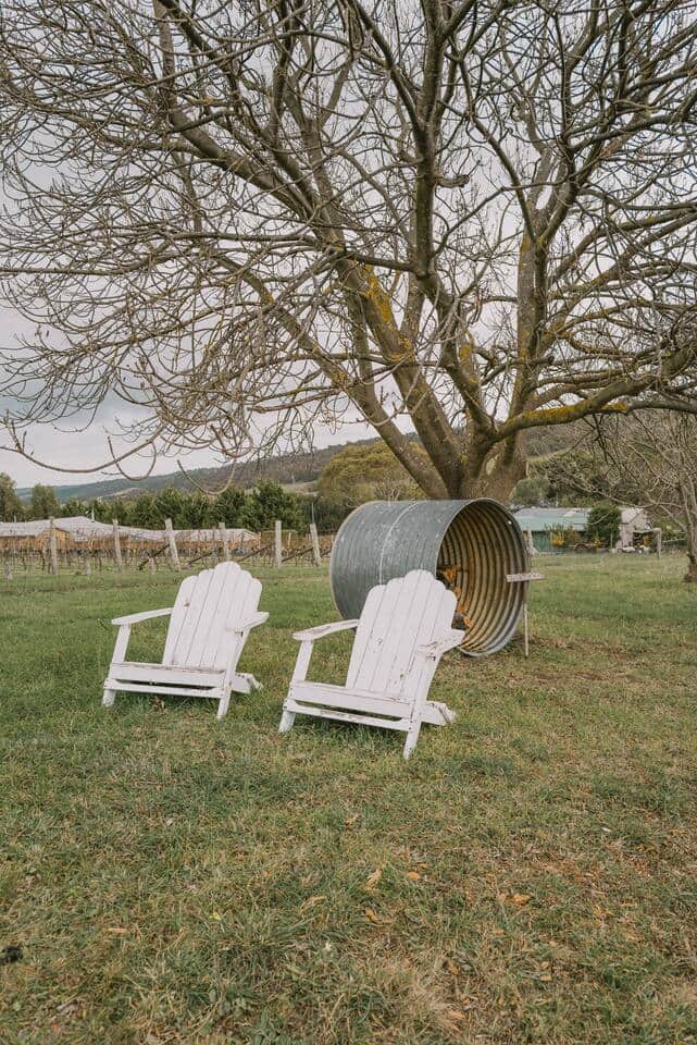 Slow mornings among the vines.