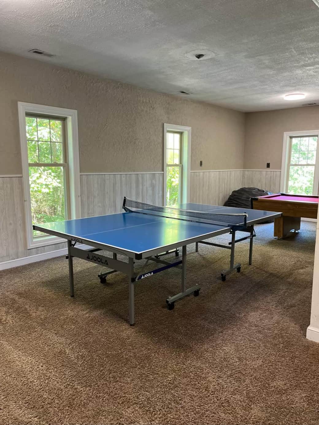Ping Pong Table