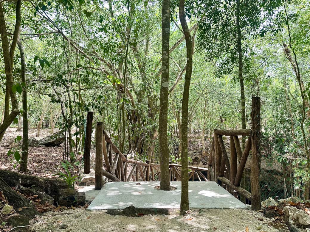 Cénote semi-fermé, entouré de jungle, avec terrasses