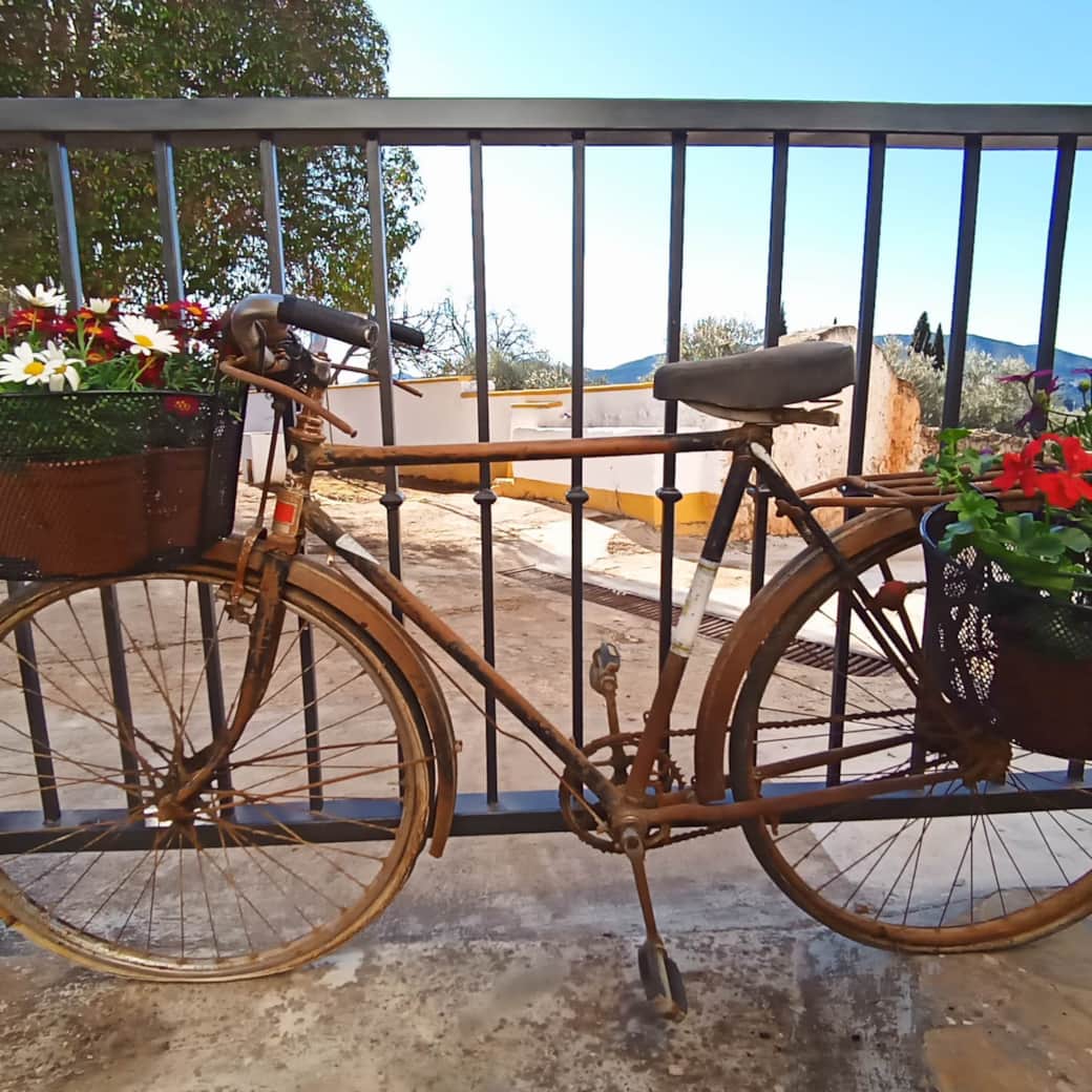 Bici de Tino