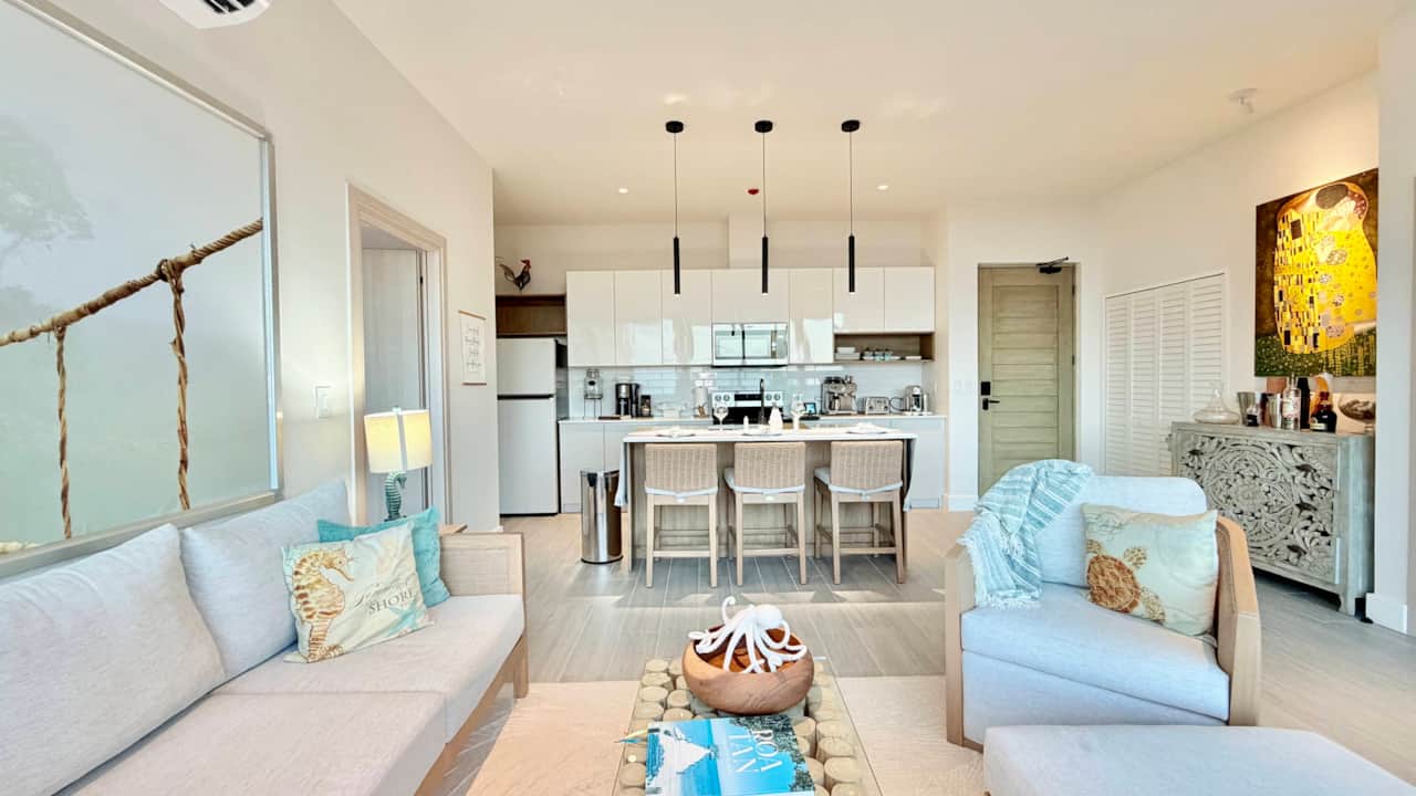 Living Room & Kitchen