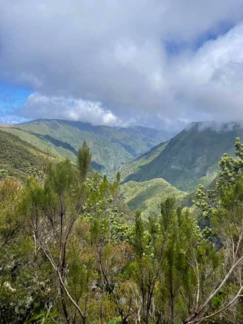 PR hiking trails Madeira
