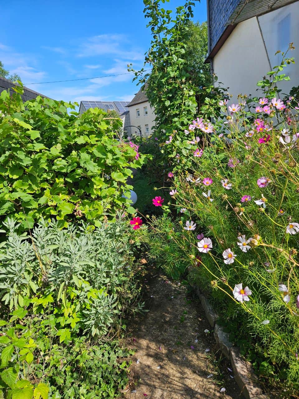 Garten, Terrasse und Spielplatz