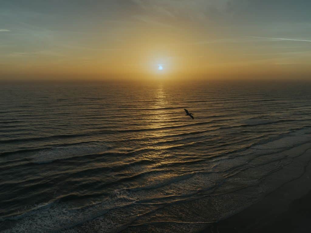 Amazing Sunrise and Sunset Views 