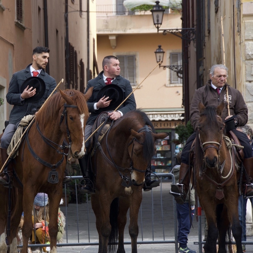 Feast of San Antonio Abate