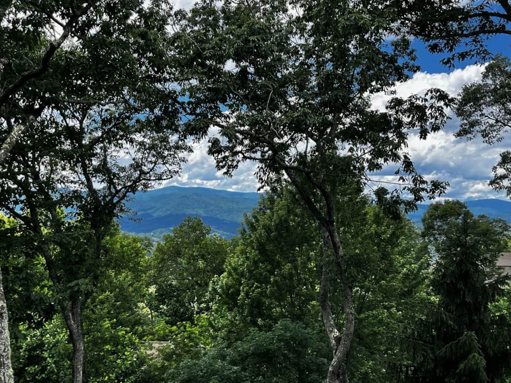 View from Deck