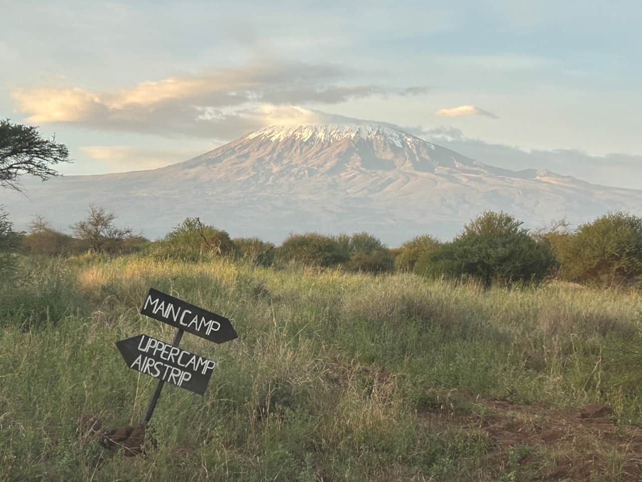 Stunning views of Kilimanjaro