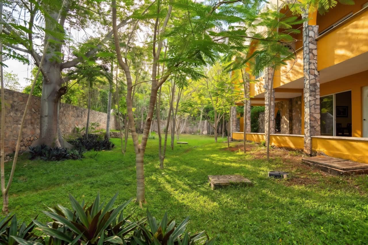 Garden with relaxation area.