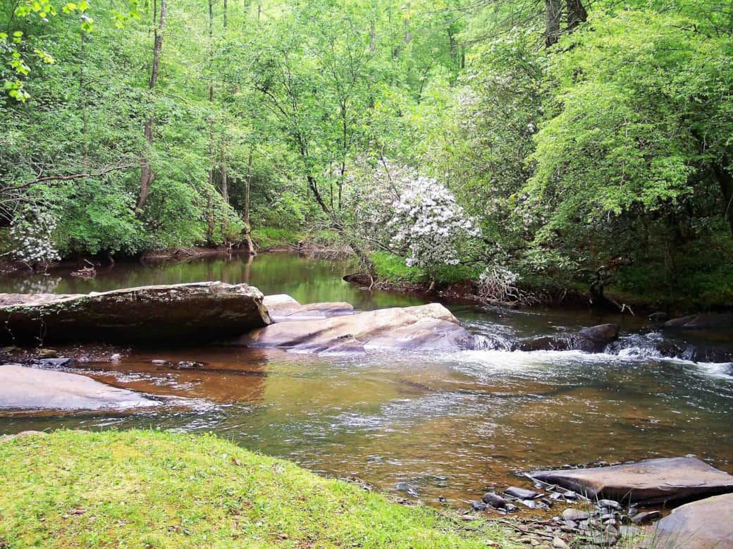 Trout fishing in river