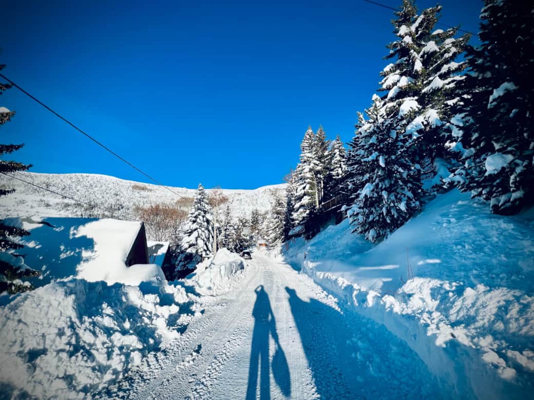 Chemin privé devant le chalet