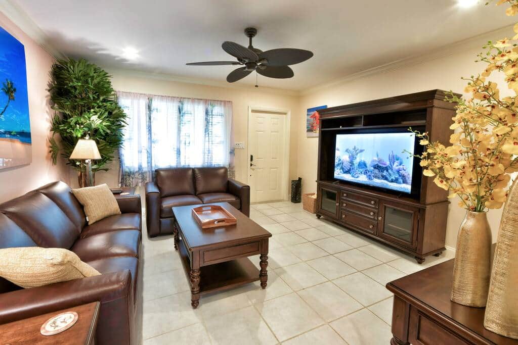 Living Room with TV Living Room with TV