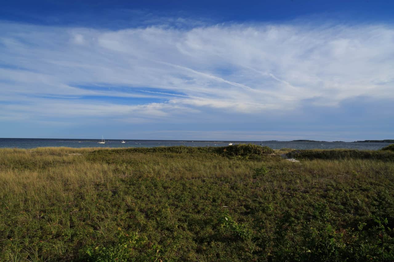 P71A0261.jpg