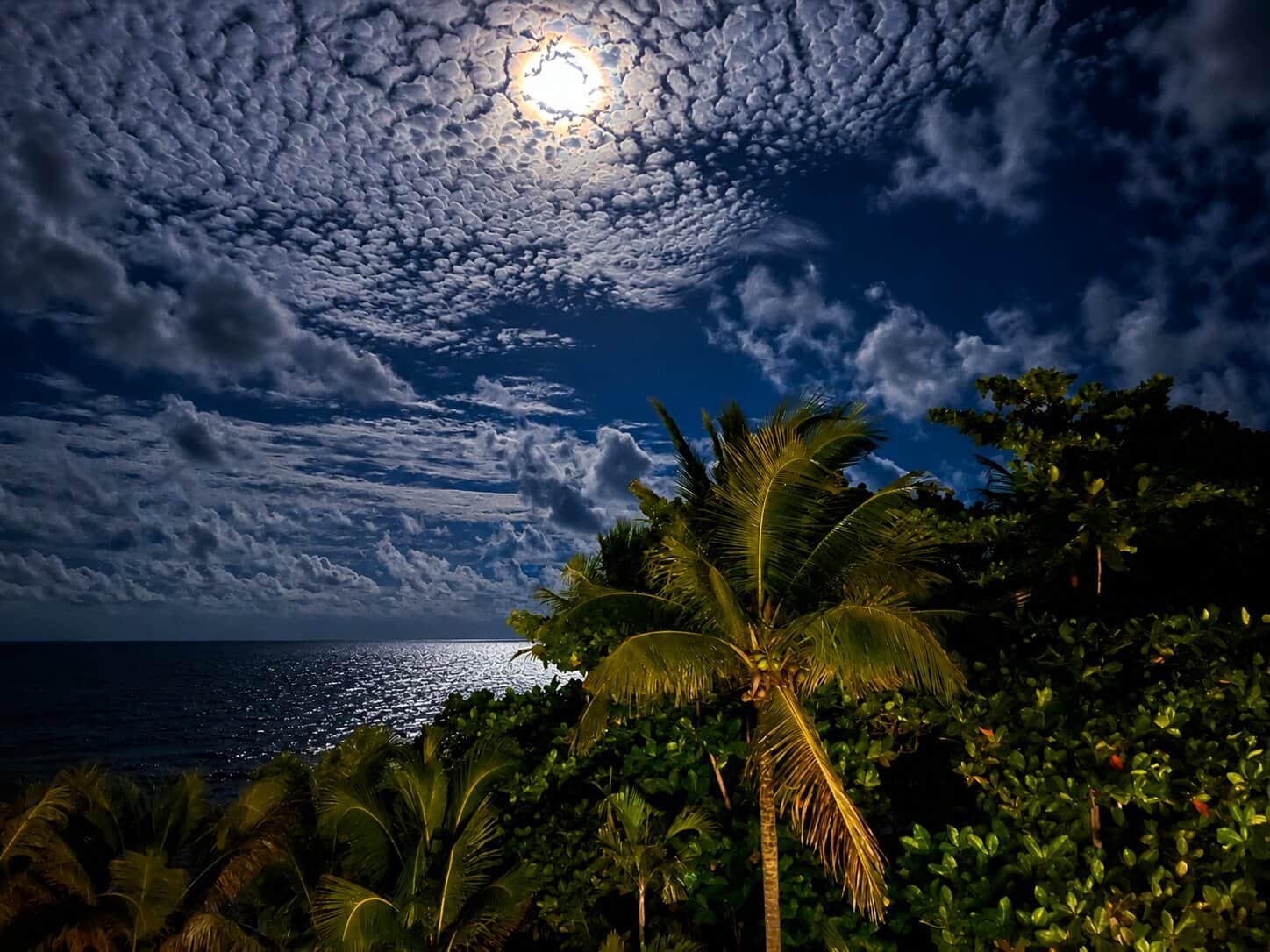 Moon Glow at the Villa.jpg Moon Glow at the Villa.jpg