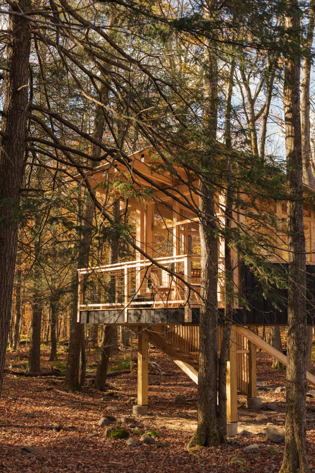Treehouse Cabin