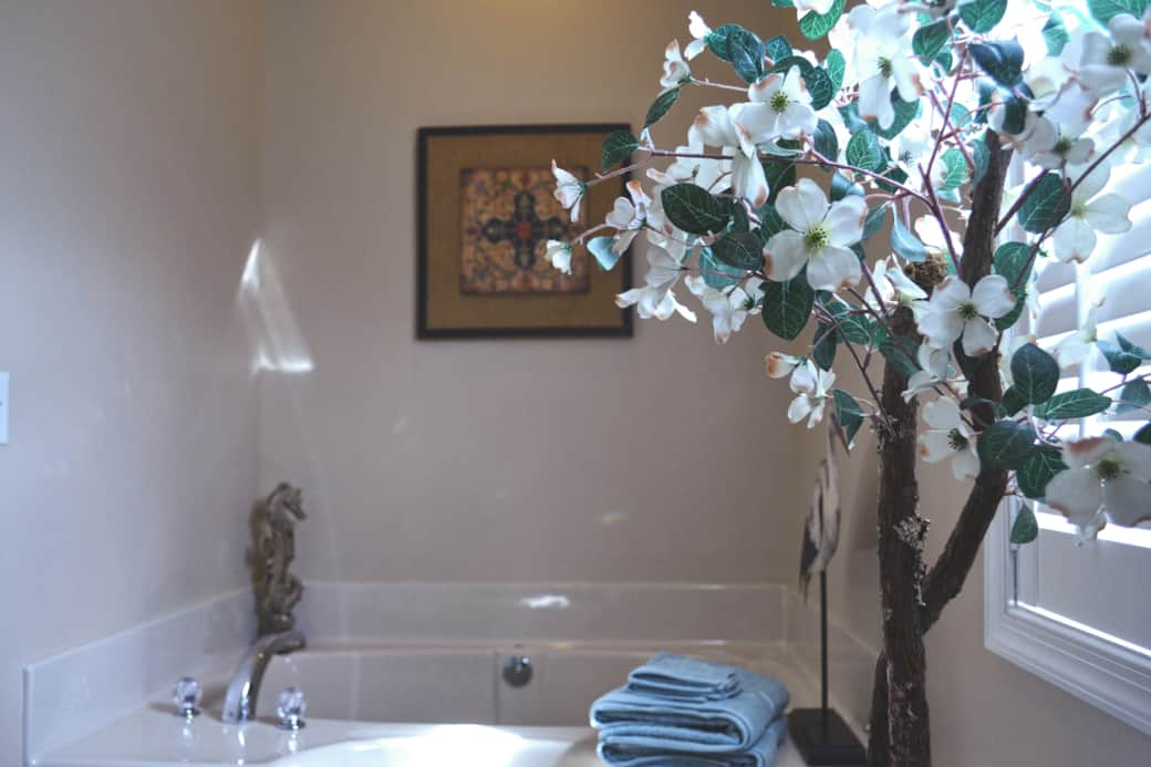 Master Suite Soak-In Tub