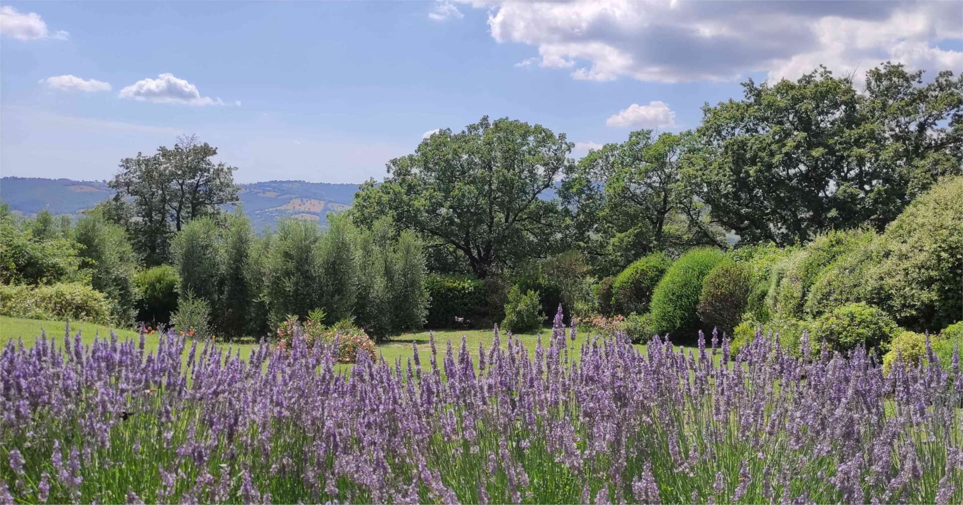 Vue sur la vallée de l'Albegna depuis le gîte Capitorio, avec la terrasse privée et la haie de lavande au premier plan