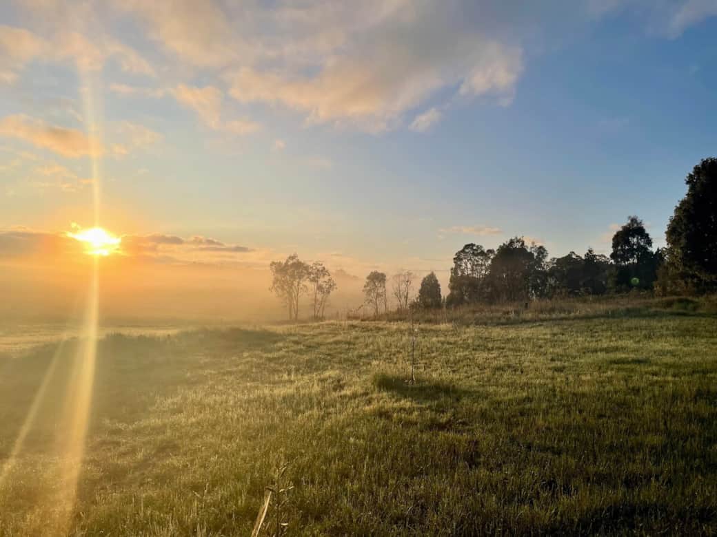 Wake up to sunrise and the rolling mudgee hills Wake up to sunrise and the rolling mudgee hills