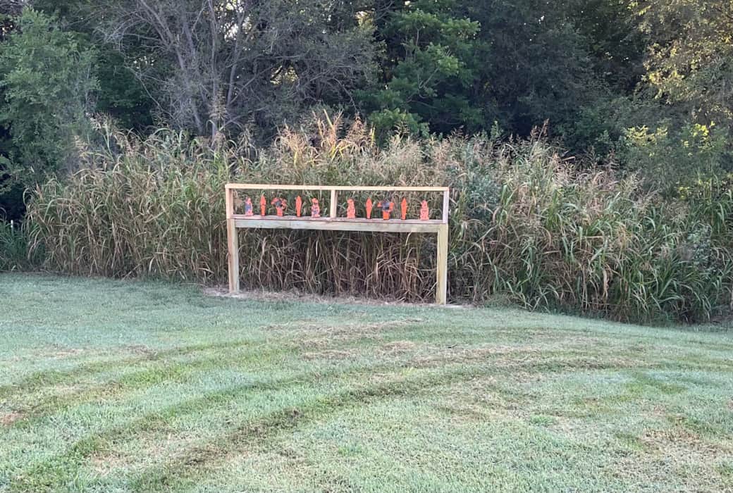 Steel Targets_Rimfire