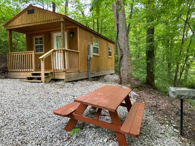 Image Title