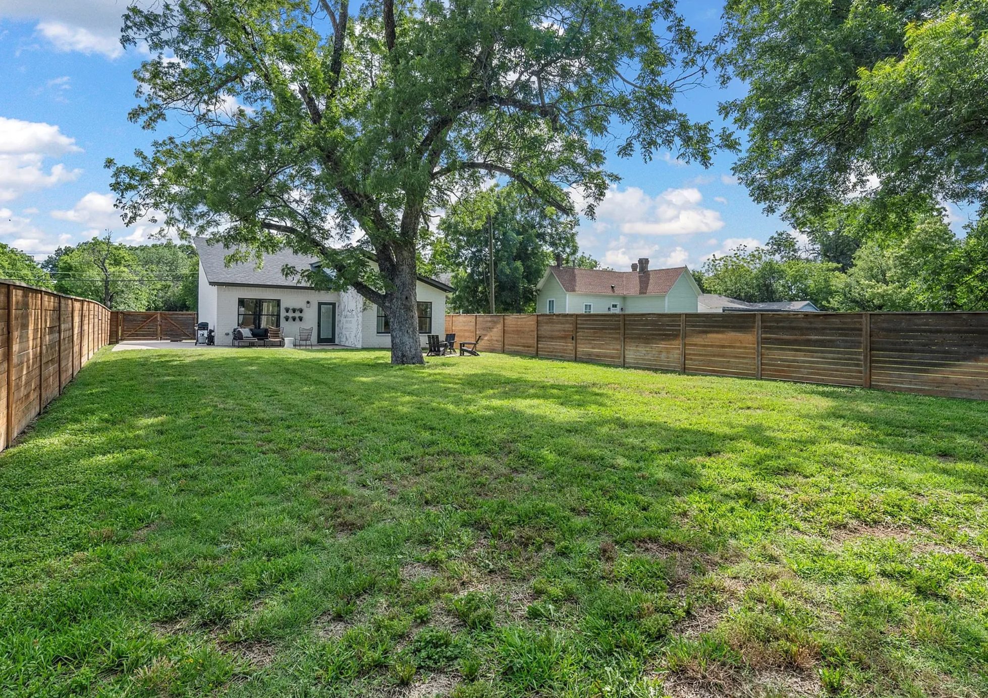 Backyard Grass