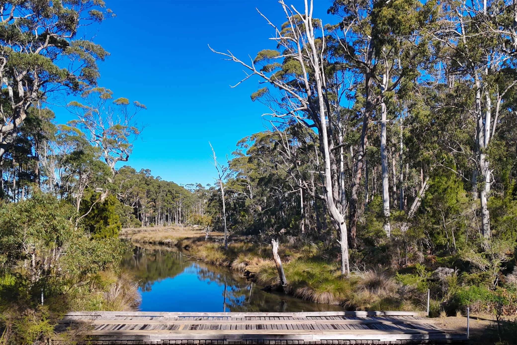 Saintys Creek Cottage ~birdwatching sanctuary